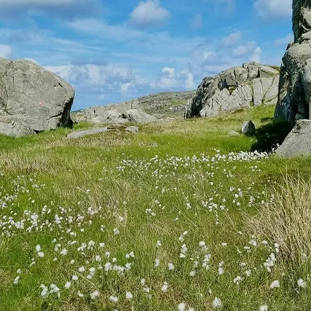 Simple With Sea Views On Island *